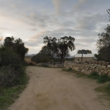 Un Gout De Paradis * Zonza