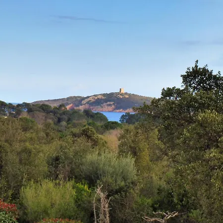 Un Gout De Paradis * Zonza